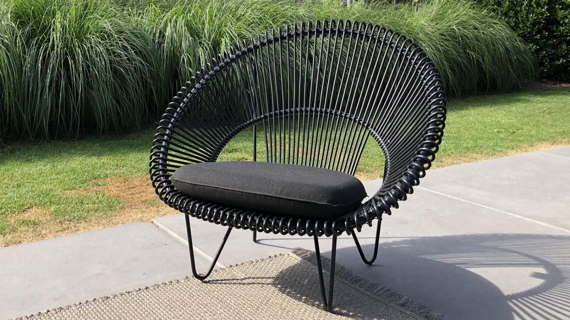 Roy discount cocoon chair